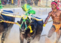 India, Srinivas Gowda: the young worker who runs with buffaloes as fast as Bolt