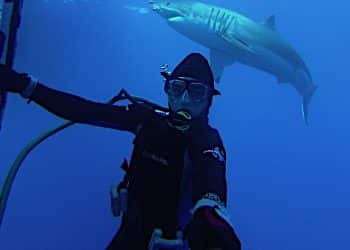 Here’s How Plastic Surgeon and Content Creator, Dr. Ross Blagg, Is Impacting Lives through Art and Science