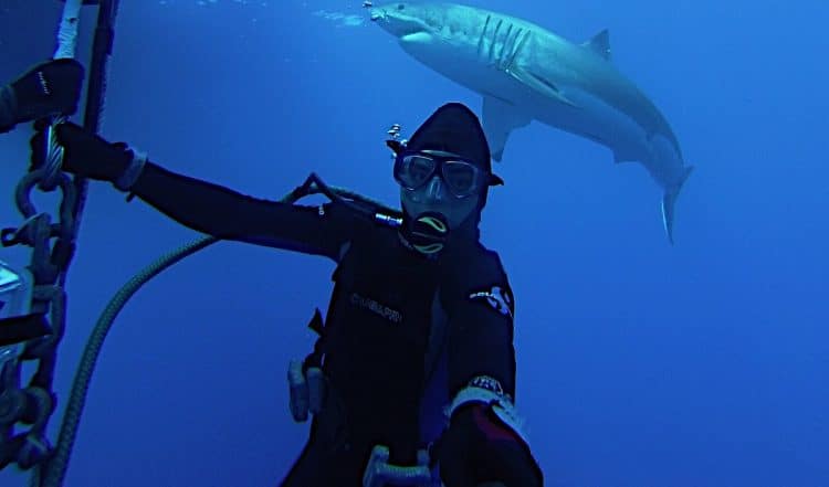 Here’s How Plastic Surgeon and Content Creator, Dr. Ross Blagg, Is Impacting Lives through Art and Science